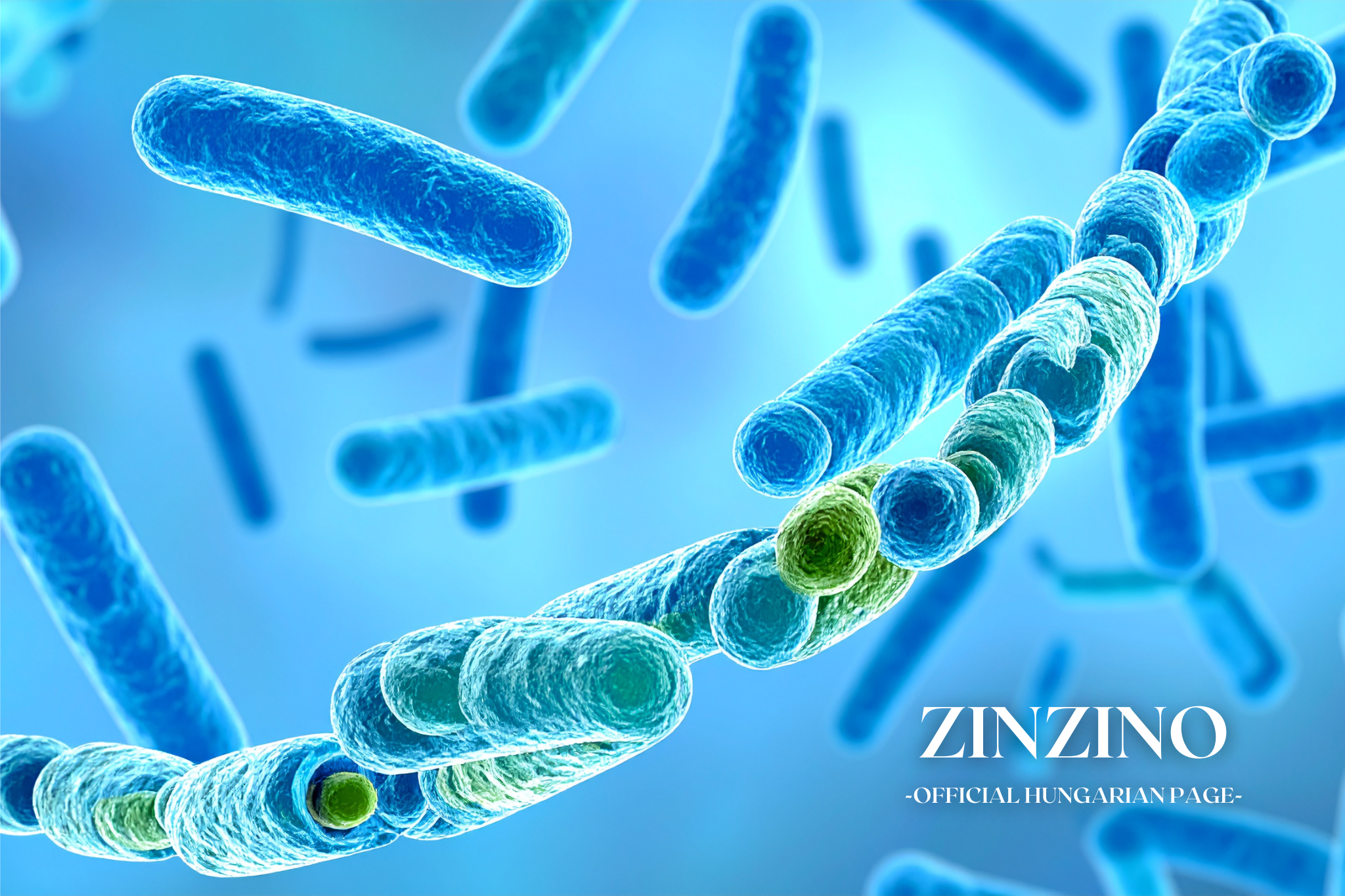 ZinoGene+ – hogyan támogatja a sejtek természetes védekezését és regenerációját?