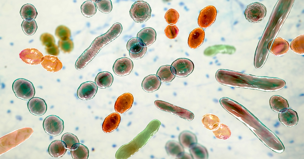 A bélrendszer egészsége – miért fontosabb, mint gondolnád?